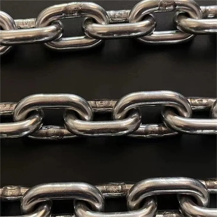 Stainless Steel Chain On Poultry Slaughter Hanged Conveying Line