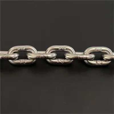 Catena della catena di montaggio